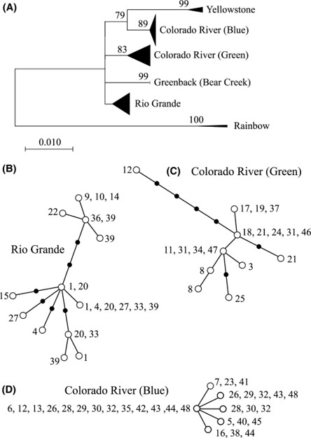 Bestgen et al 2019 Figure 3